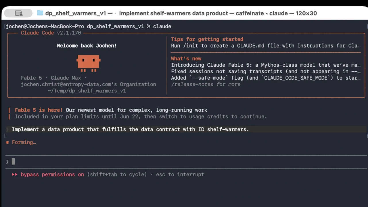 Claude Code im Projekt dp_shelf_warmers_v1 gestartet mit einem einzigen Prompt: 'Implement a data product that fulfills the data contract with ID shelf-warmers.'