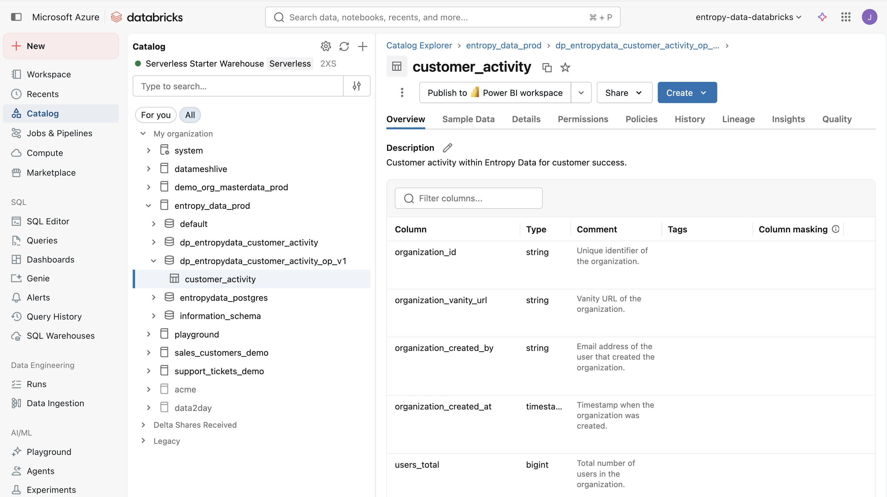 Die customer_activity-Tabelle materialisiert in Databricks mit Spalten wie organization_id, organization_vanity_url und users_total.